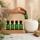 Sens Ēve – Kit Vitalité Saisonnière, 5 Huiles Essentielles, 15ml